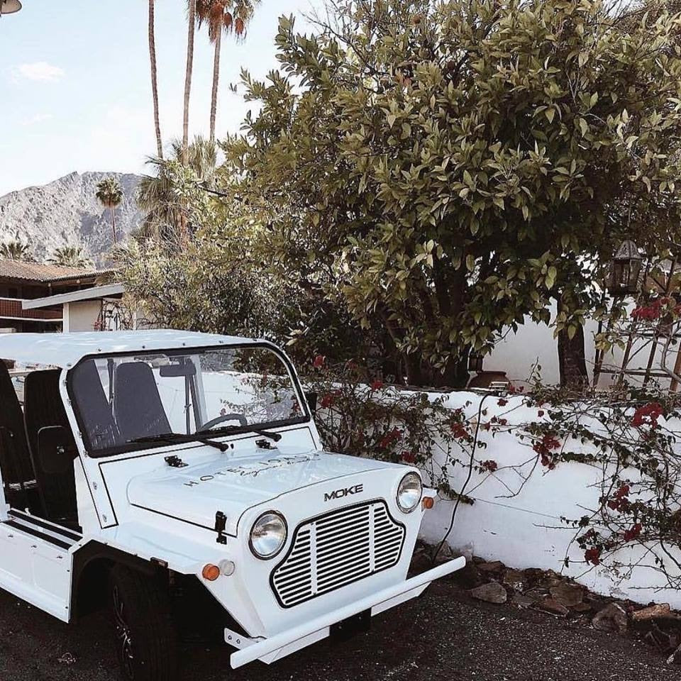 A white Moke parked beside a white desert wall under tall palms