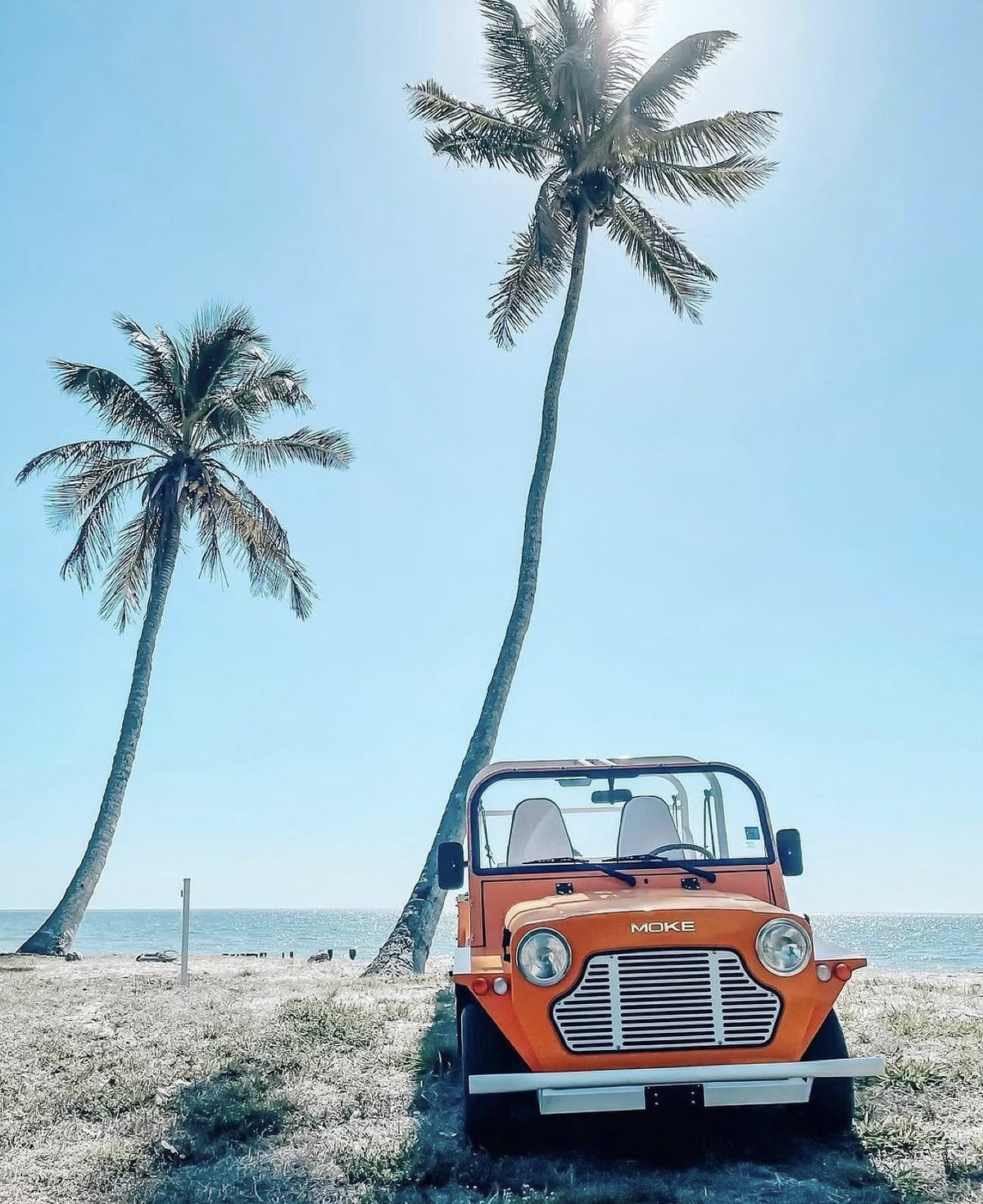 An orange Moke parked under tall palms by the shore