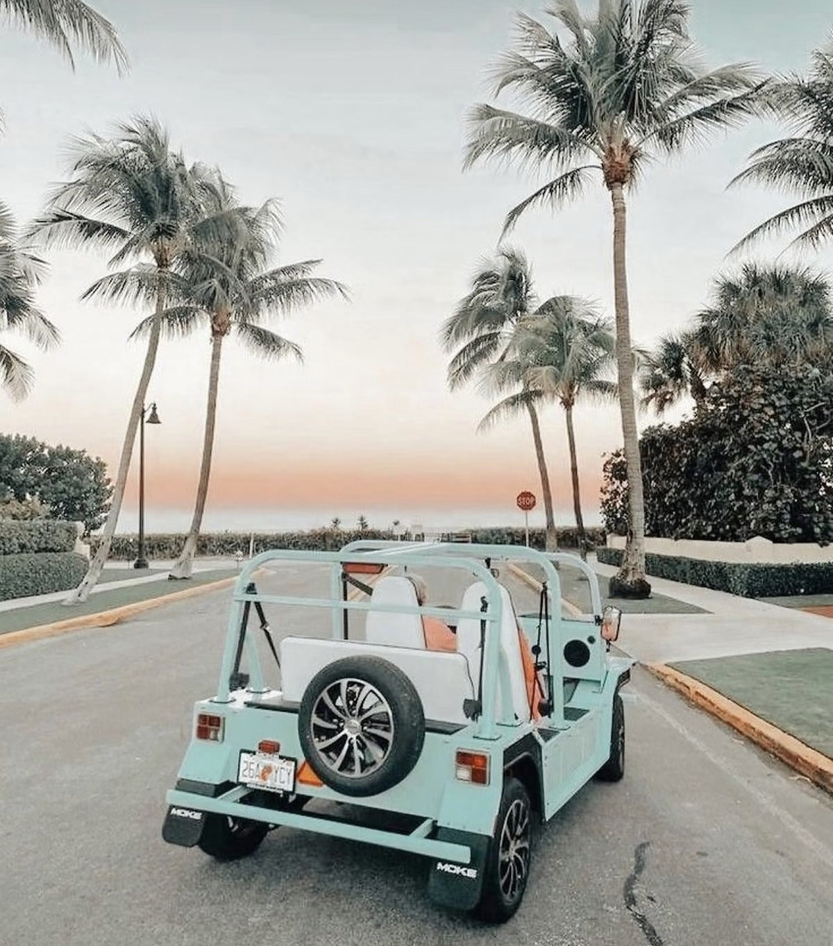 A mint Moke on a palm-lined road