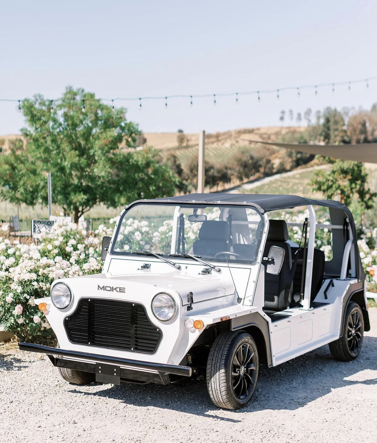 A white Moke parked below vineyard hills strung with lights