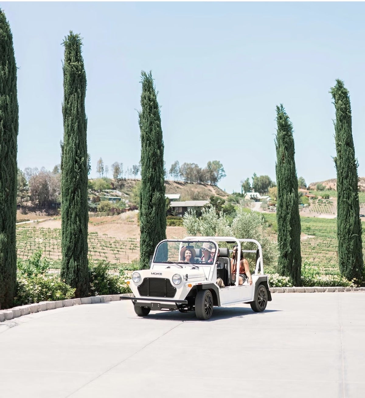 A white Moke on a gravel drive lined with tall cypress trees