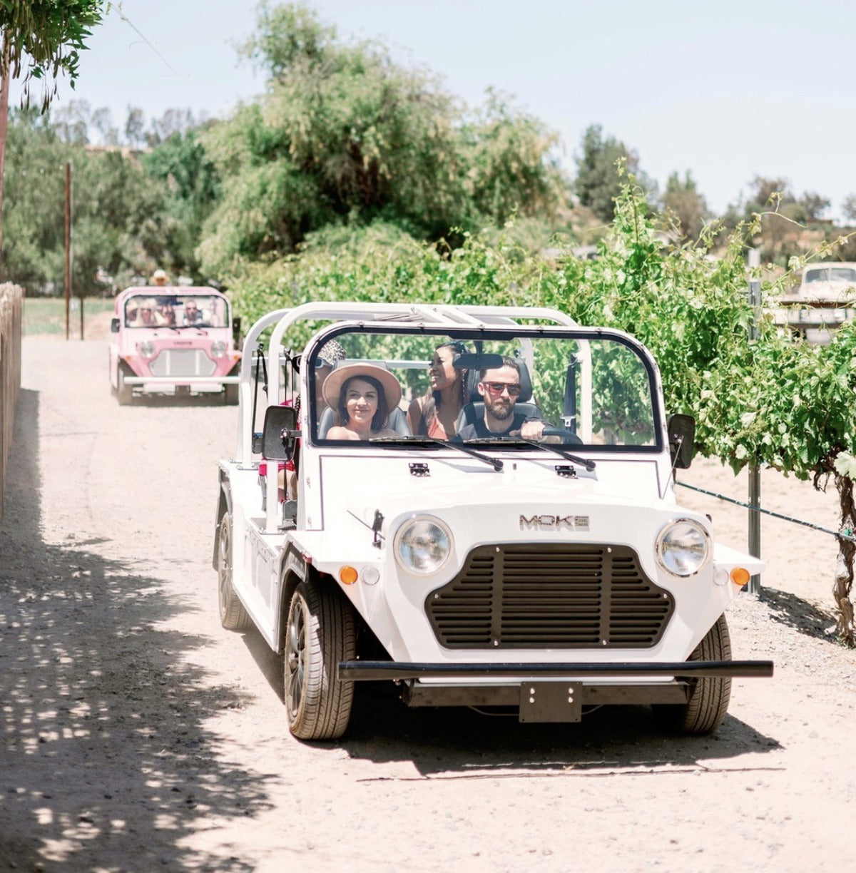 Four people in a white Moke on a track between vineyard rows